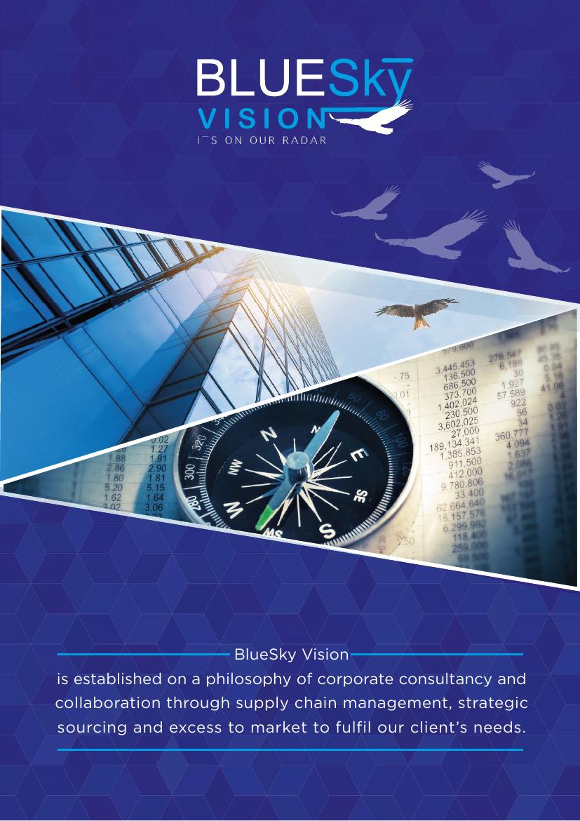 Bluesky Vision company profile document designed by Brostek